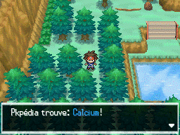 Fichier:Route 23 Calcium N2B2.png