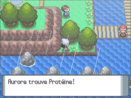 Fichier:Route 212 Protéine DP.png