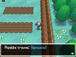 Parsemille Repousse B.png