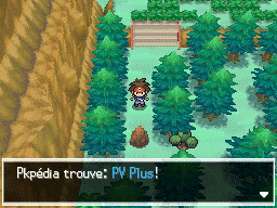Fichier:Route 23 PV Plus N2B2.png