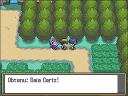 Fichier:Route 34 Baie au hasard HGSS.png
