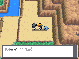Fichier:Route 45 PP Plus 2 HGSS.png