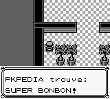 Fichier:Manoir Pokémon (Kanto) Super Bonbon RB.png