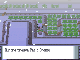 Fichier:Mont Couronné Petit Champi 4 DP.png