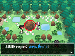 Objet Forêt d'Empoigne Morc. Étoile NB.png