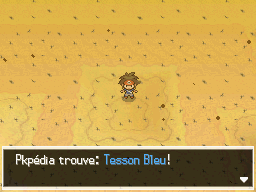 Fichier:Désert Délassant Tesson Bleu 1 N2B2.png