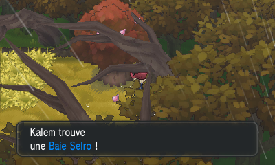 Fichier:Route 14 Baie Selro XY.png