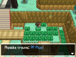 Fichier:Route 23 PP Plus N2B2.png