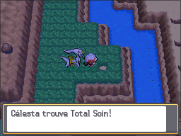 Fichier:Route 45 Total Soin HGSS.png