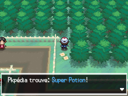Objet Forêt d'Empoigne Super Potion 1 NB.png