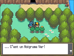 Fichier:Route 42 Noigrume Vert HGSS.png