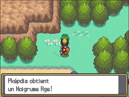 Route 44 Noigrume Rouge HGSS.png