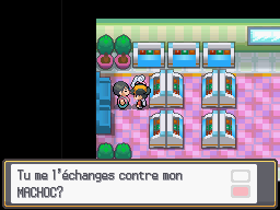 Fichier:Centre Commercial Doublonville Brac. Macho (1) HGSS.png