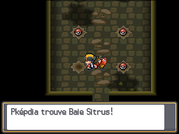 Fichier:Ruines d'Alpha Baie Sitrus HGSS.png