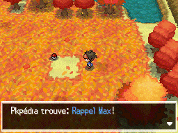 Fichier:Route 20 Rappel Max N2B2.png