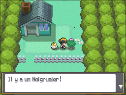 Fichier:Route 2 Noigrume Rose HGSS.png