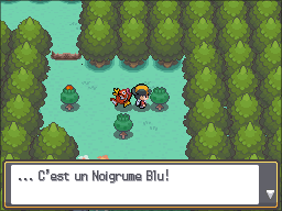Route 36 Noigrume Bleu HGSS.png