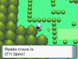 Fichier:Route 212 CT11 DP.png