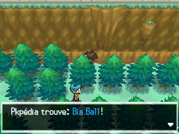 Fichier:Route 23 Bis Ball N2B2.png