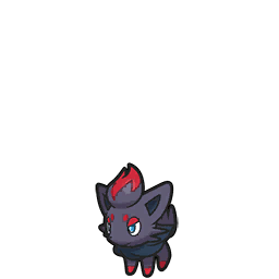 Zorua