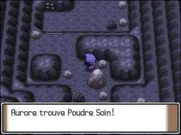 Mont Couronné Poudre Soin 2 Pt.png