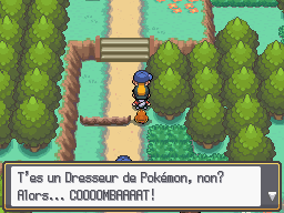 Route 30 Gamin Mandé HGSS.png