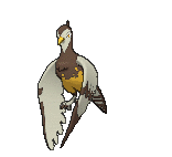 Sprite 0521 ♀ chromatique XY.png