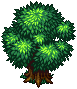 Sprite Arbre Feuillu Ra2.png