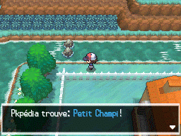 Route 6 (Unys) Petit Champi 1 NB.png