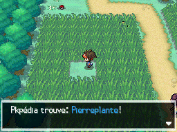 Fichier:Route 7 Pierreplante N2B2.png