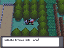 Route 35 Anti-Para HGSS.png