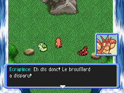 Forêt Brumeuse (8) PDMTO.png