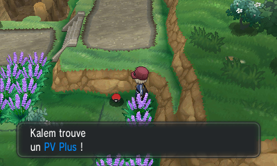 Fichier:Route 19 PV Plus XY.png