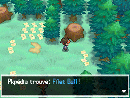 Fichier:Bois des Illusions Filet Ball N2B2.png