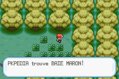 Bois Baies Baie Maron RFVF.png