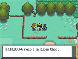 Fichier:Route 29 Ruban Choc HGSS.png