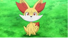 XY050 - Feunnec de Serena.png