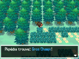 Fichier:Pont du Hameau Gros Champi N2B2.png