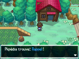Fichier:Route 7 Rappel N2B2.png