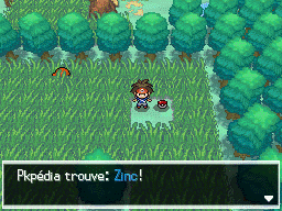 Fichier:Route 7 Zinc N2B2.png