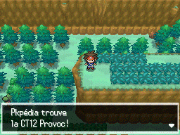 Fichier:Route 23 CT12 N2B2.png