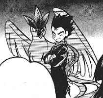 Artikodin de Koga.png