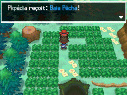 Fichier:Bois des Illusions Baie Pêcha N2B2.png