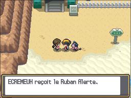 Chenal 40 Ruban Alerte HGSS.png