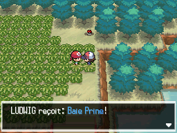 Objet Route 3 (Unys) Baie Prine NB.png