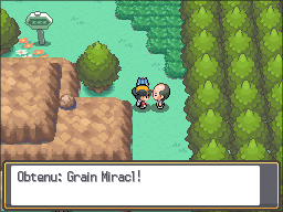 Fichier:Route 32 Grain Miracl HGSS.png