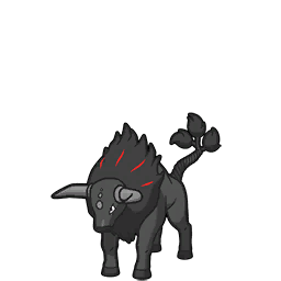 Tauros (Forme de Paldea Race Flamboyante)