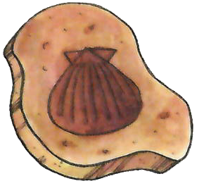 Nautile-RV.png