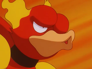 Fichier:EP237 - Magmar d'un Dresseur (Flash-back).png