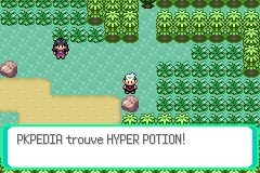 Route 123 Hyper Potion E.png